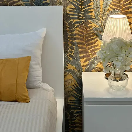 Le Fate Di V E N E R E 卡塞塔